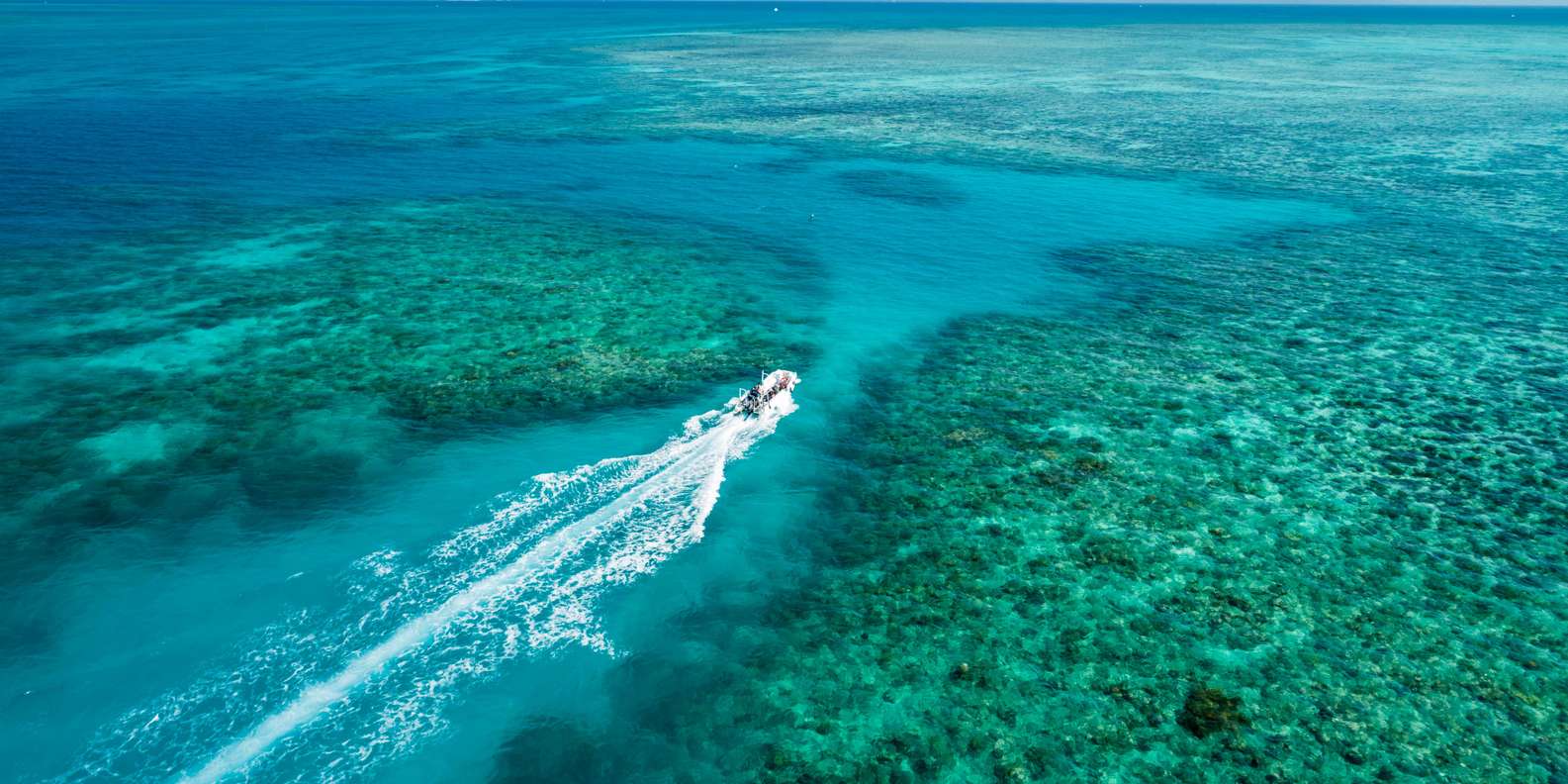 Cairns: Outer and Coral Cay Snorkel and Dive Cruise