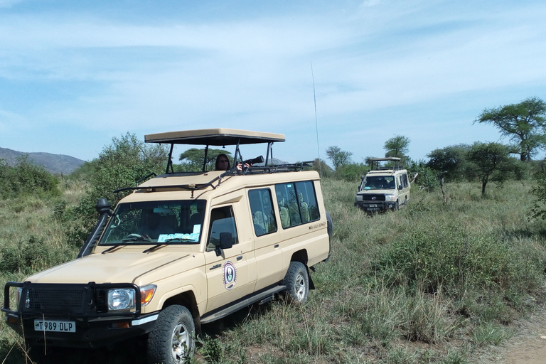 Nairobi: Elefanter, giraffer, Karen Blixen och Bomas-tur