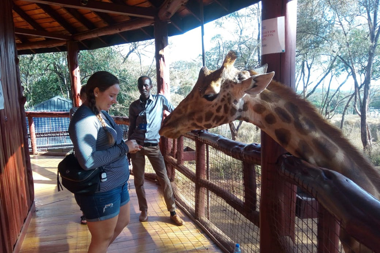 Nairóbi: elefantes, girafas, excursão de Karen Blixen e Bomas