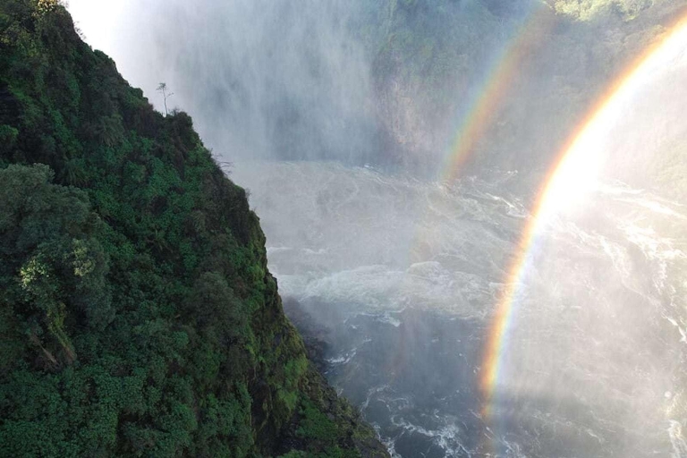 Desde Livingstone: tour guiado de medio día por las cataratas Victoria