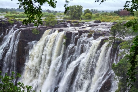 Van Livingstone: Victoria Falls Guided Half-Day Tour