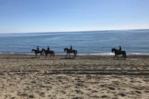 Estepona: 1-Hour Beach Horse Ride