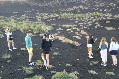 Catania: Etna-tour met cruiseRondleiding in het Frans