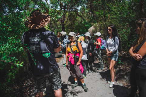 威尔逊海角国家公园全天生态游威尔逊岬国家公园全日游