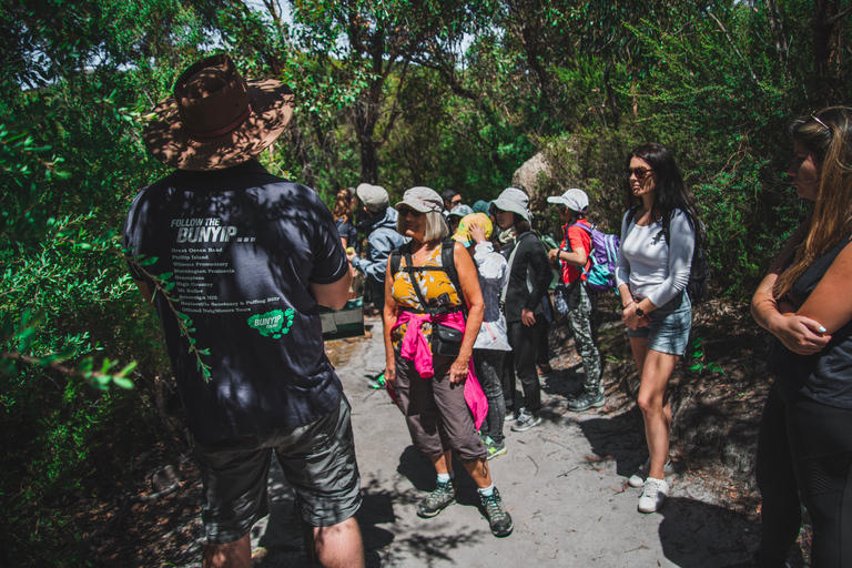 威尔逊海角国家公园全天生态游威尔逊岬国家公园全日游