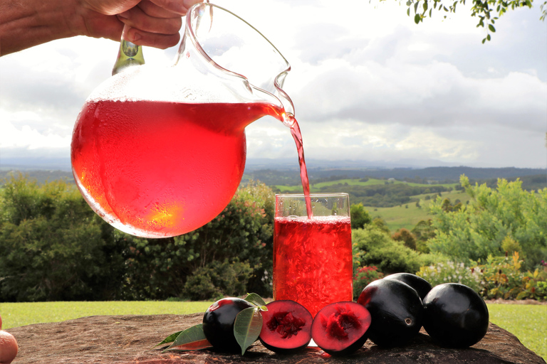 De Cairns: Degustação Vinhos e Iguarias Planalto de Atherton