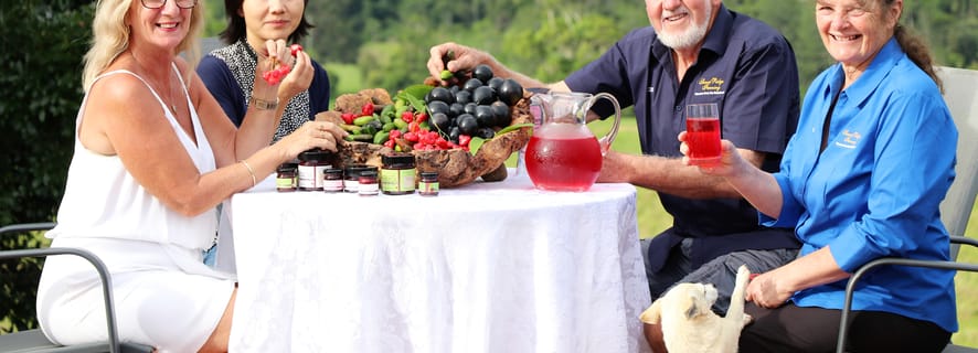 From Cairns: Atherton Tablelands Food and Wine Tasting Tour