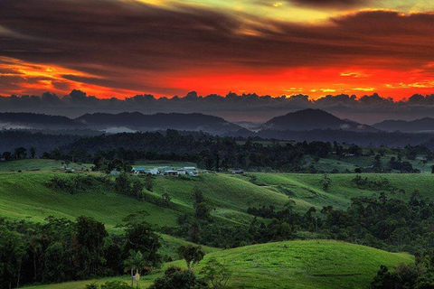 De Cairns: Degustação Vinhos e Iguarias Planalto de Atherton