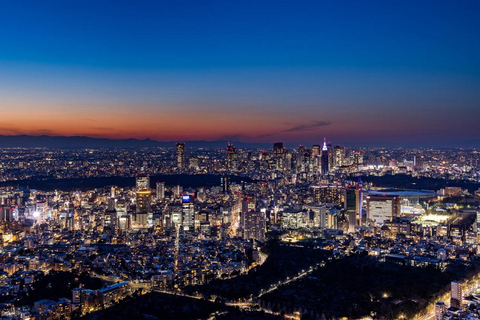 Tokyo: Roppongi Hills Observatory Ticket