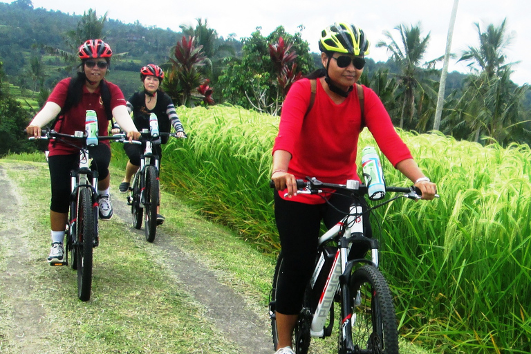 Bali - Jatiluwih Jatiluwih dagsutflykt med elcykel och vandringBali: Jatiluwih heldagsutflykt med E-bike och vandring