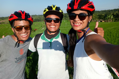 Bali: Jatiluwih e-bike- en trektocht van een hele dagBali: Jatiluwih Full-Day E-Bike en Trekking Tour