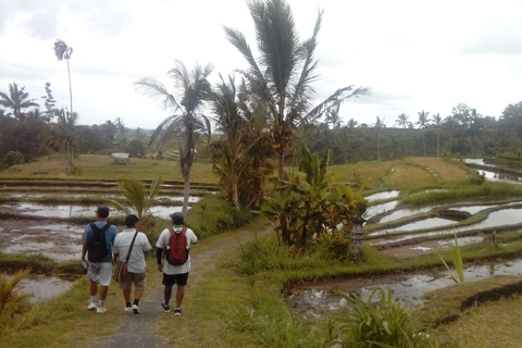 Bali - Jatiluwih Jatiluwih dagsutflykt med elcykel och vandringBali: Jatiluwih heldagsutflykt med E-bike och vandring