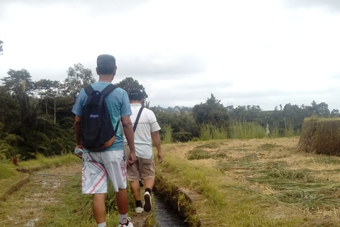 Bali: Tour di un giorno intero in bicicletta e trekking a JatiluwihBali: tour in bicicletta elettrica e trekking a Jatiluwih