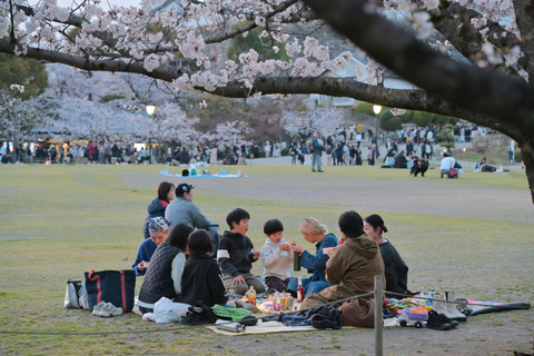 Tokyo Cherry Blossom Walking Tour & Hanami Experience