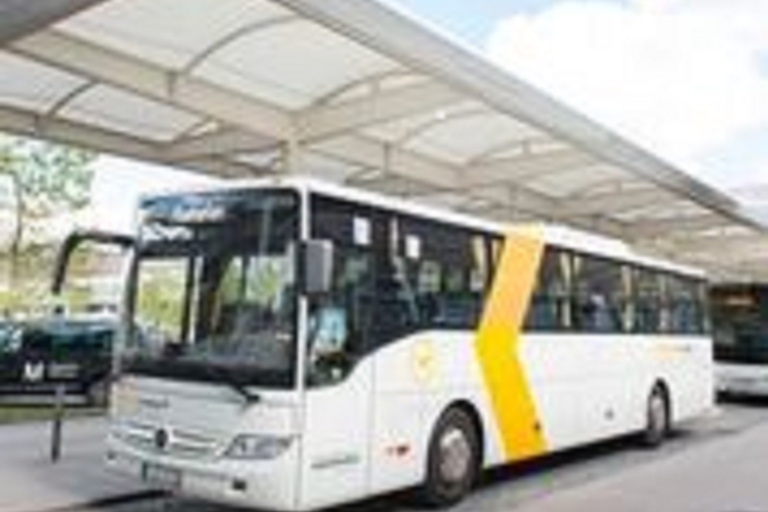 München: Flughafentransfer per BusEinfacher Transfer zum/vom Flughafen von/nach München