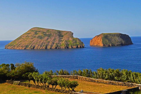 Açores: excursion d'une journée sur l'île de Terceira