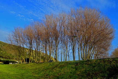 Azores: excursión de día completo por Terceira