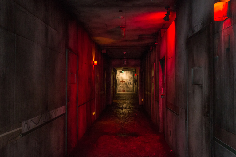 Park rozrywki Fuji-Q Highland: Bilet jednodniowyFuji-Q Highland: Bilet jednodniowy