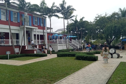 Stadsrondleiding door Nassau: Ontdek de charmes van Old Charles Towne