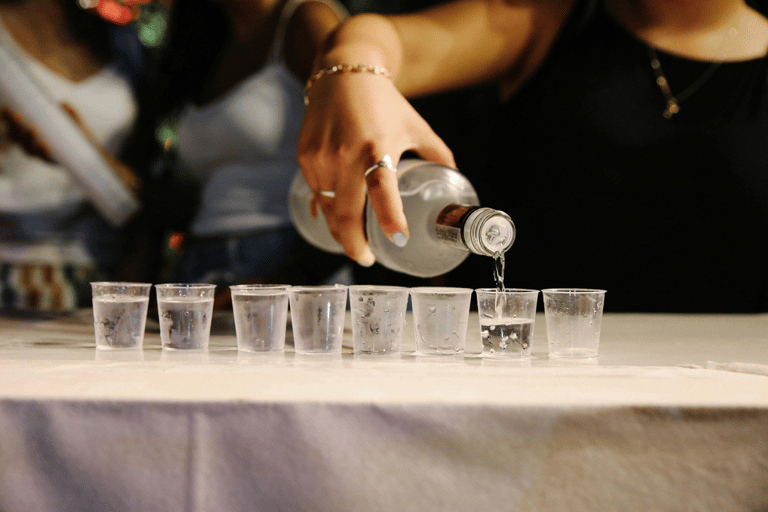 Varsavia: Tour della vodka