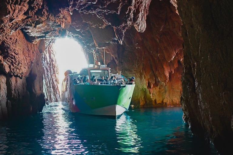 Korsyka: wycieczka z przewodnikiem z Porto-OtaKompletna wycieczka po Zatoce Porto