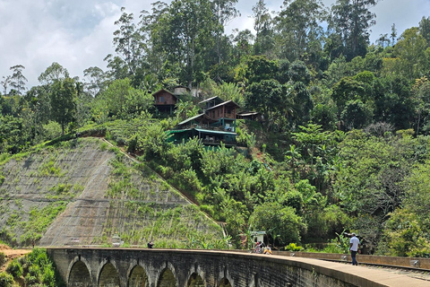 Från Ella: 9 Arch Bridge, Little Adam's Peak och vattenfallsturFrån Ella: 9arch bridge, little Adam'speak &amp; Waterfalls tur