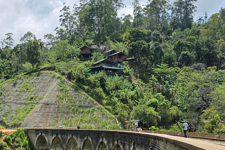 Från Ella: 9 Arch Bridge, Little Adam's Peak och vattenfallsturFrån Ella: 9arch bridge, little Adam'speak &amp; Waterfalls tur
