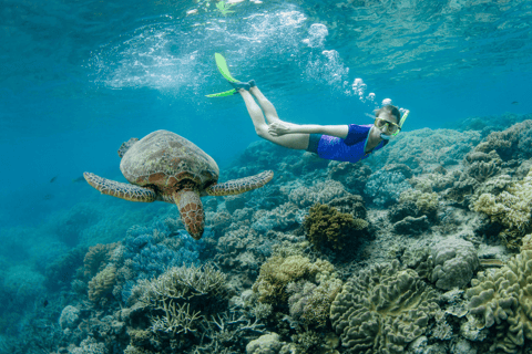 Cairns: Great Barrier Reef Pontoon, Travel by Helicopter Heli Flight to the reef, Heli flight back to Cairns