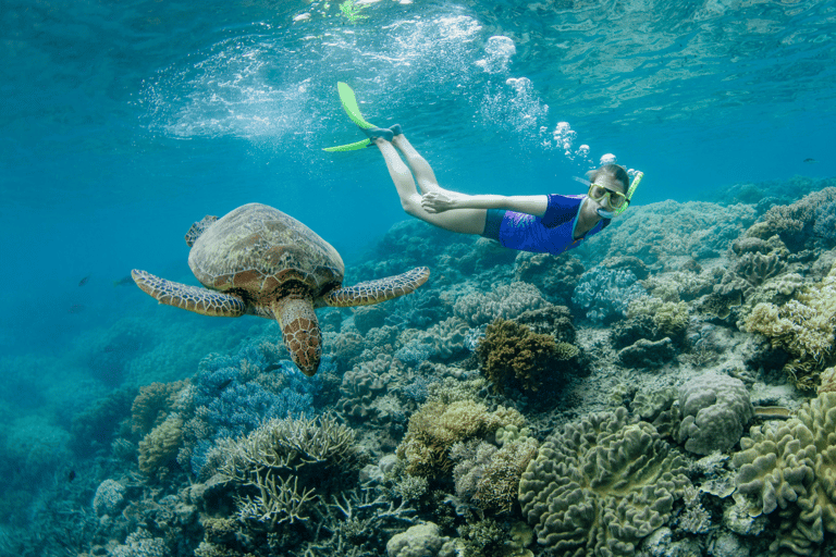 Cairns: Great Barrier Reef Pontoon, Travel by Helicopter Heli Flight to the reef, Heli flight back to Cairns