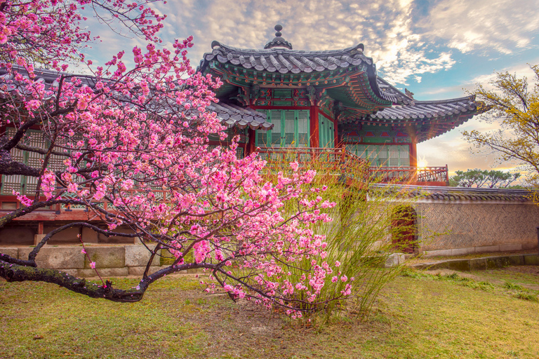 Seul: Palácio de Gyeongbok e excursão a pé por Bukchon Hanok