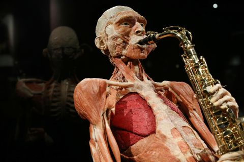 Amsterdamin Body Worlds -näyttely: Happiness Project