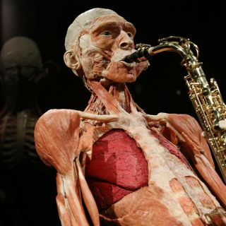 Amsterdã: Ingresso Body Worlds - The Happiness Project