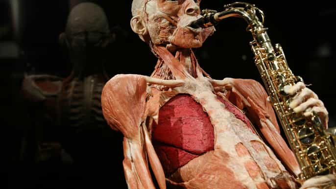 Body Worlds Ámsterdam: Entrada al Proyecto Felicidad