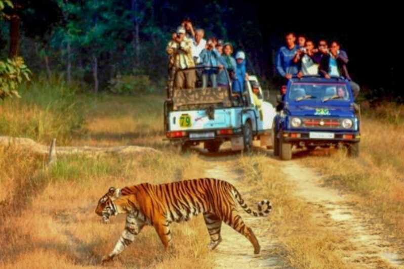 jaipur to ranthambore safari distance