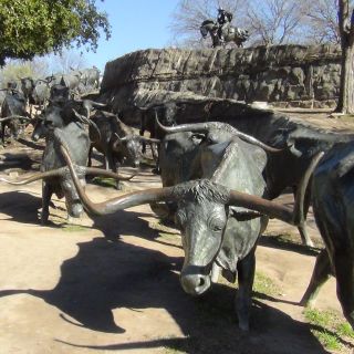 Dallas: Welcome to Dallas 3-Hour Small Group Tour by Van
