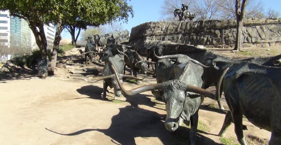 Dallas: Willkommen in Dallas 3-stündige Kleingruppentour mit dem Van