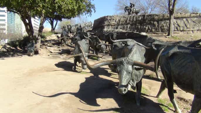 welkom bij dallas 3hour small group tour door van