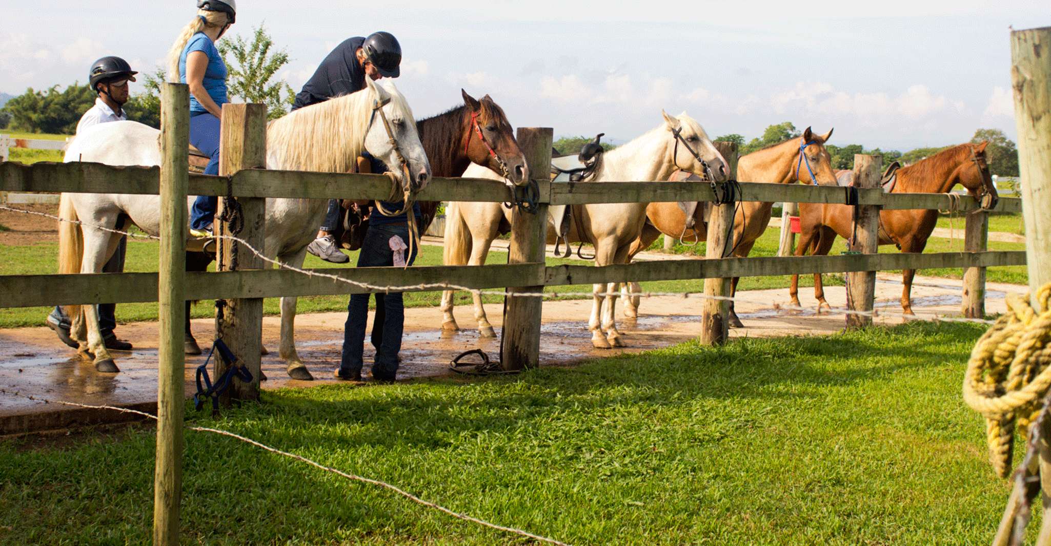 From Carolina, Horse Riding at a Private Ranch - Housity