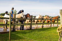 From Carolina, Horse Riding at a Private Ranch - Housity