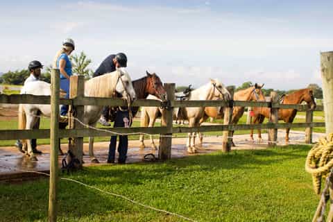From Carolina: Horse Riding at a Private Ranch