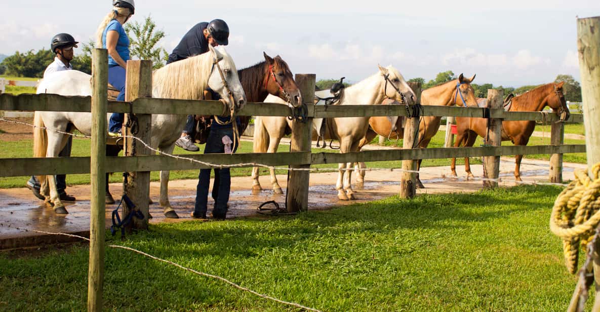 From San Juan: Horse Riding at a Private Ranch
