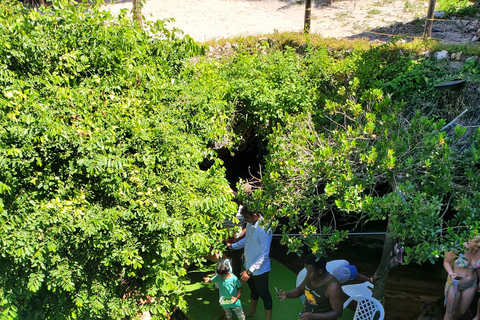 Zanzibar: Salaam cave sea turtles, Star fish & Blue Lagoon Tour without hotel pick up and drop off