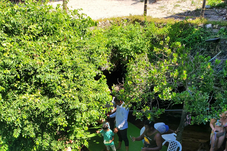 Zanzibar: Salaam cave sea turtles, Star fish & Blue Lagoon Tour without hotel pick up and drop off