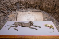 Eingangsticket der Christ Church Cathedral und selbst geführte Tour - Housity