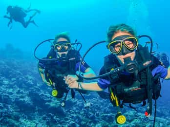 Dubai: Entdecken Sie das Gerätetauchen für sich Dubai: Entdecken Sie das Gerätetauchen für sich