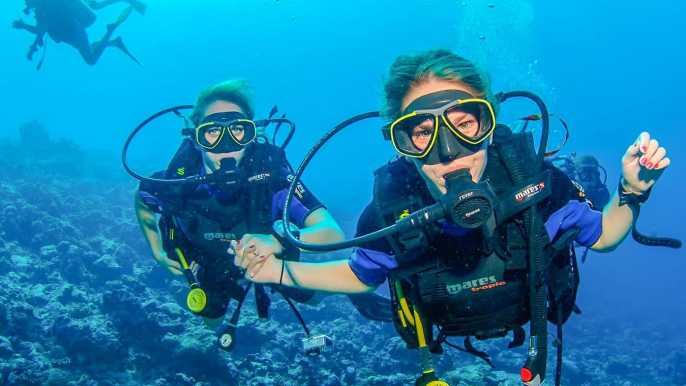 Best offer for Dubai Tourists, Discover Scuba Diving In Dubai, Dubai Adventure Travel