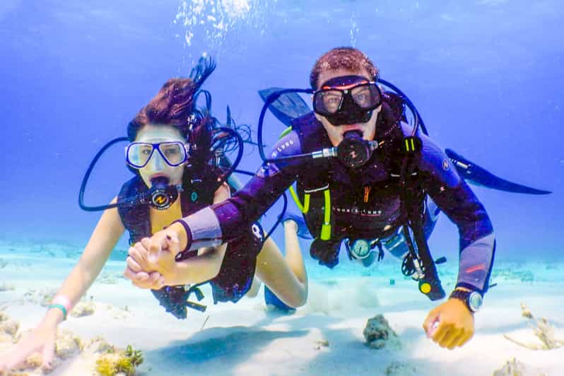 Discover Scuba Diving in Dubai GetYourGuide