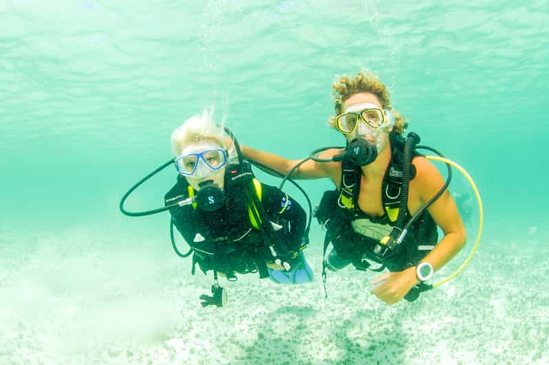 Discover Scuba Diving in Dubai GetYourGuide