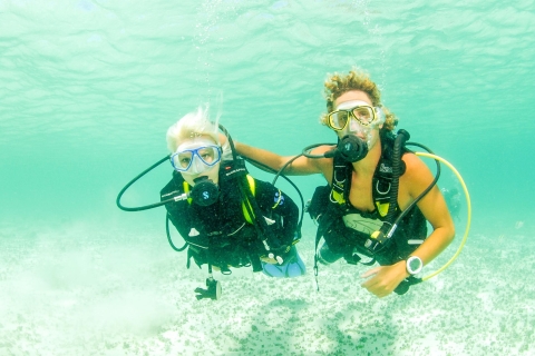 Ontdek het snorkelen in Dubai