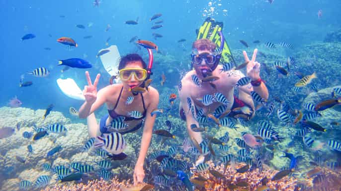 from dubai snorkeling trip to fujairah with live bbq lunch